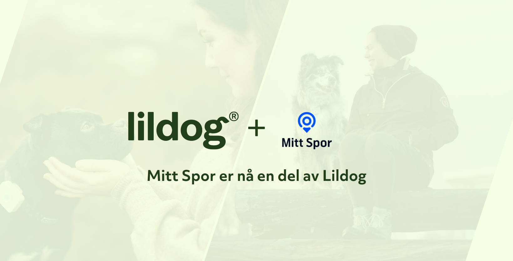 Lildog Mitt spor
