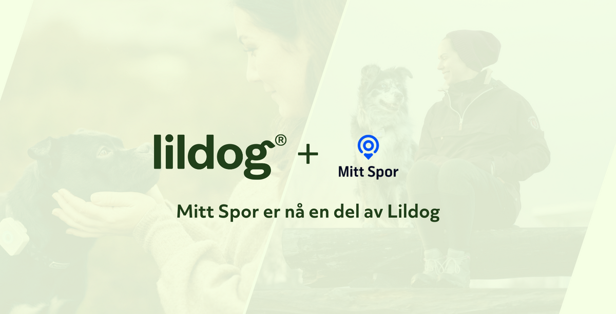 Lildog mitt spor