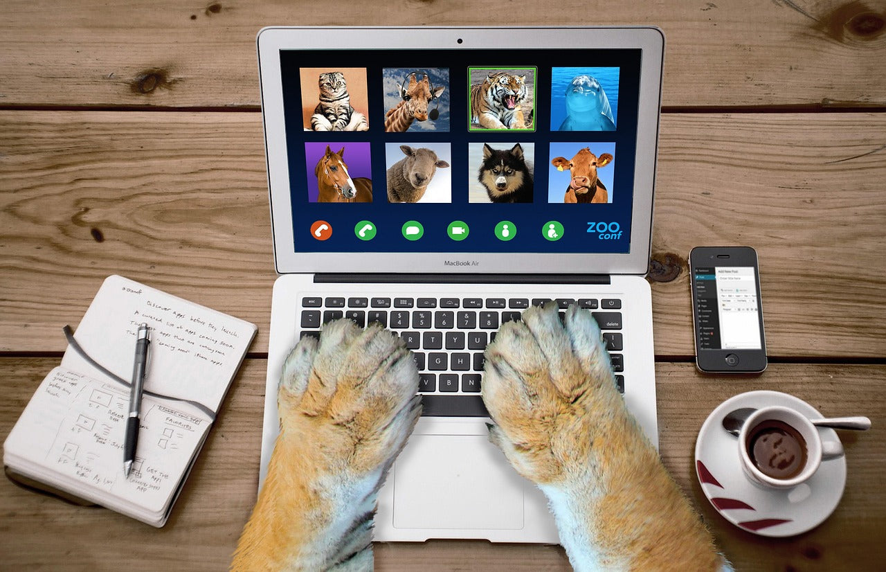 Dog paws using human technology