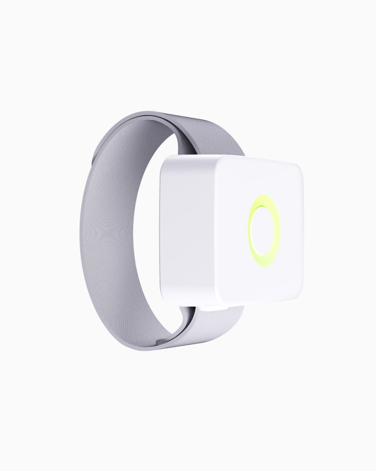 Festes enkelt til halsbåndet til katten