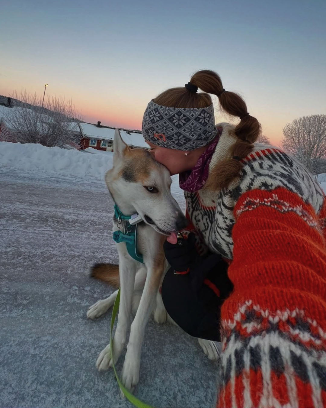 husky