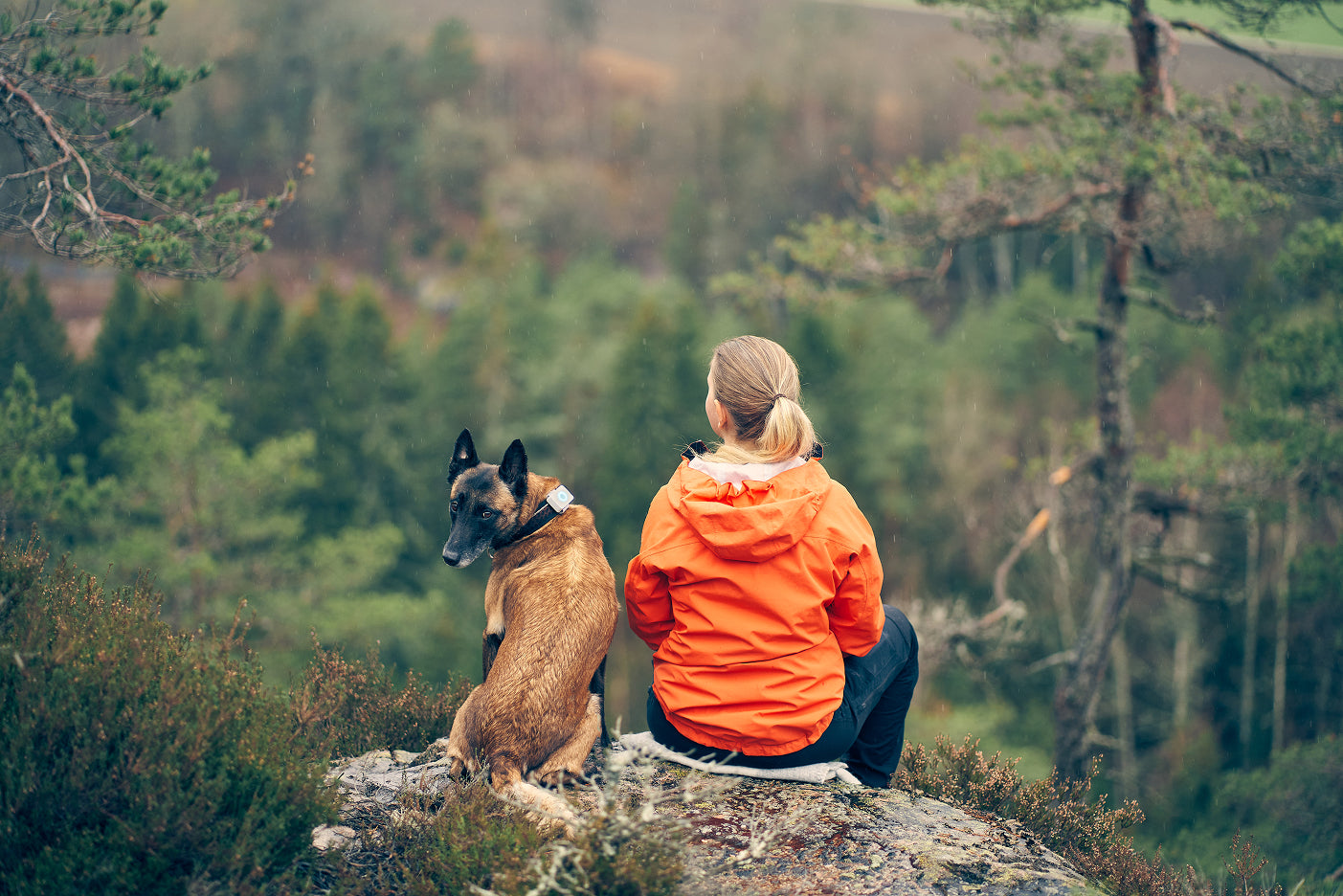 Dog and owner on vacation in Norway