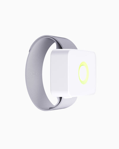 Lildog GPS-seurain