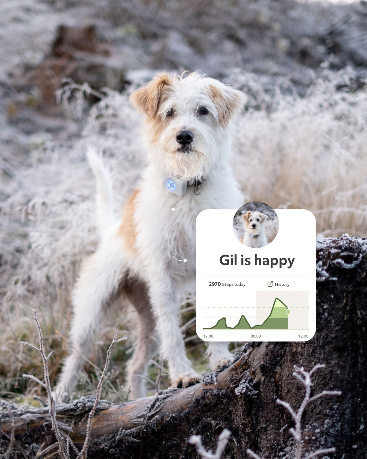 Lildog 2 GPS-Tracker für Hunde
