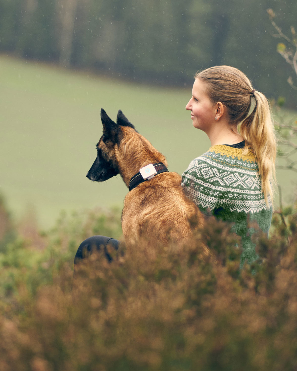 belgisk fårehund GPS